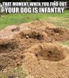 Dogs - When you realize your dog is infantry.jpeg