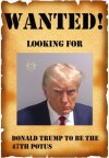 Wanted Trump.jpg